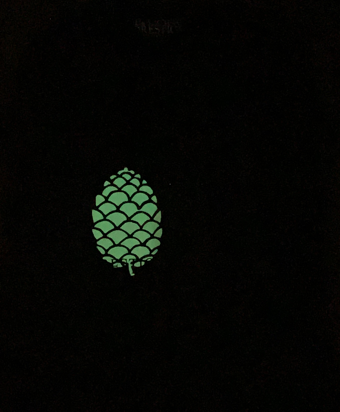 P. CONE PRESTIGE BRAND TEE (GLOWING PINECONE) image 1