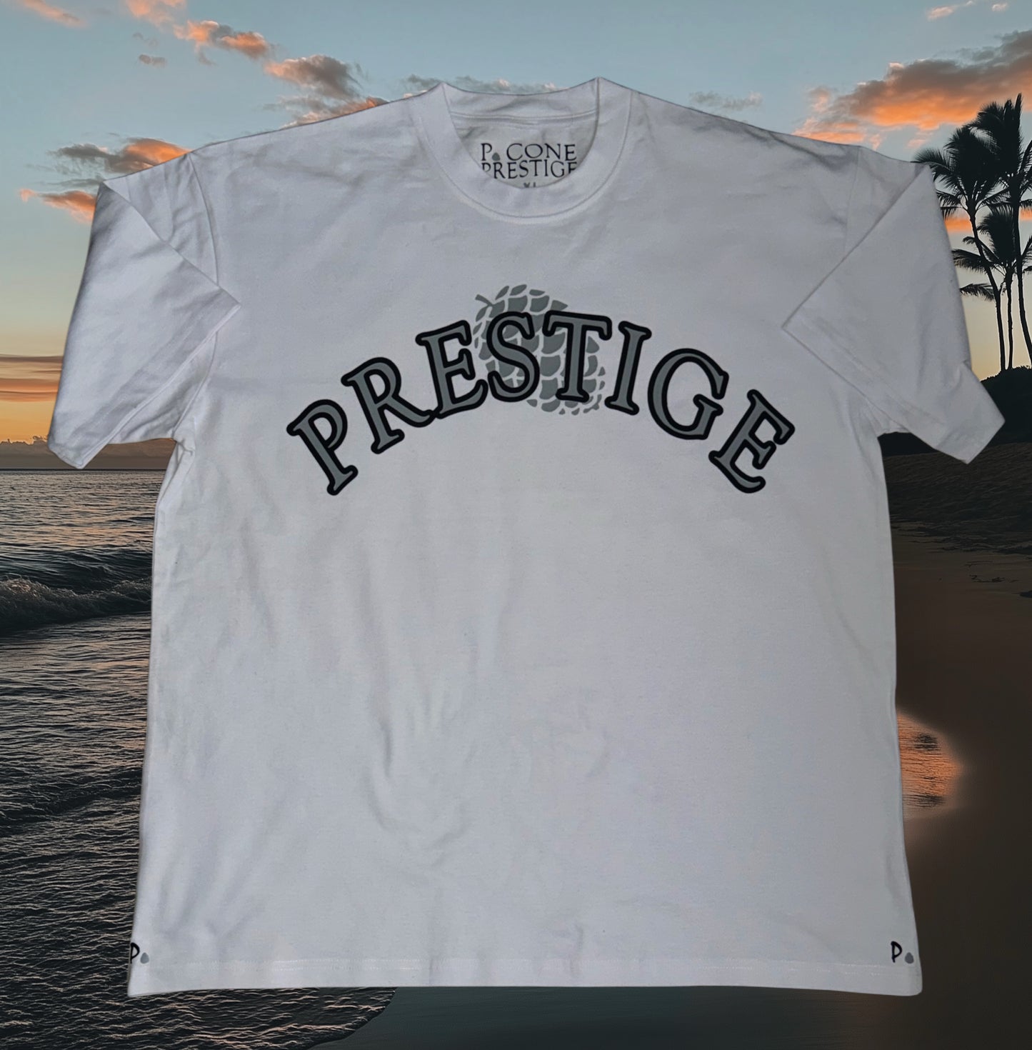 P. CONE PRESTIGE T-SHIRT (GRY N BLK) ON YT